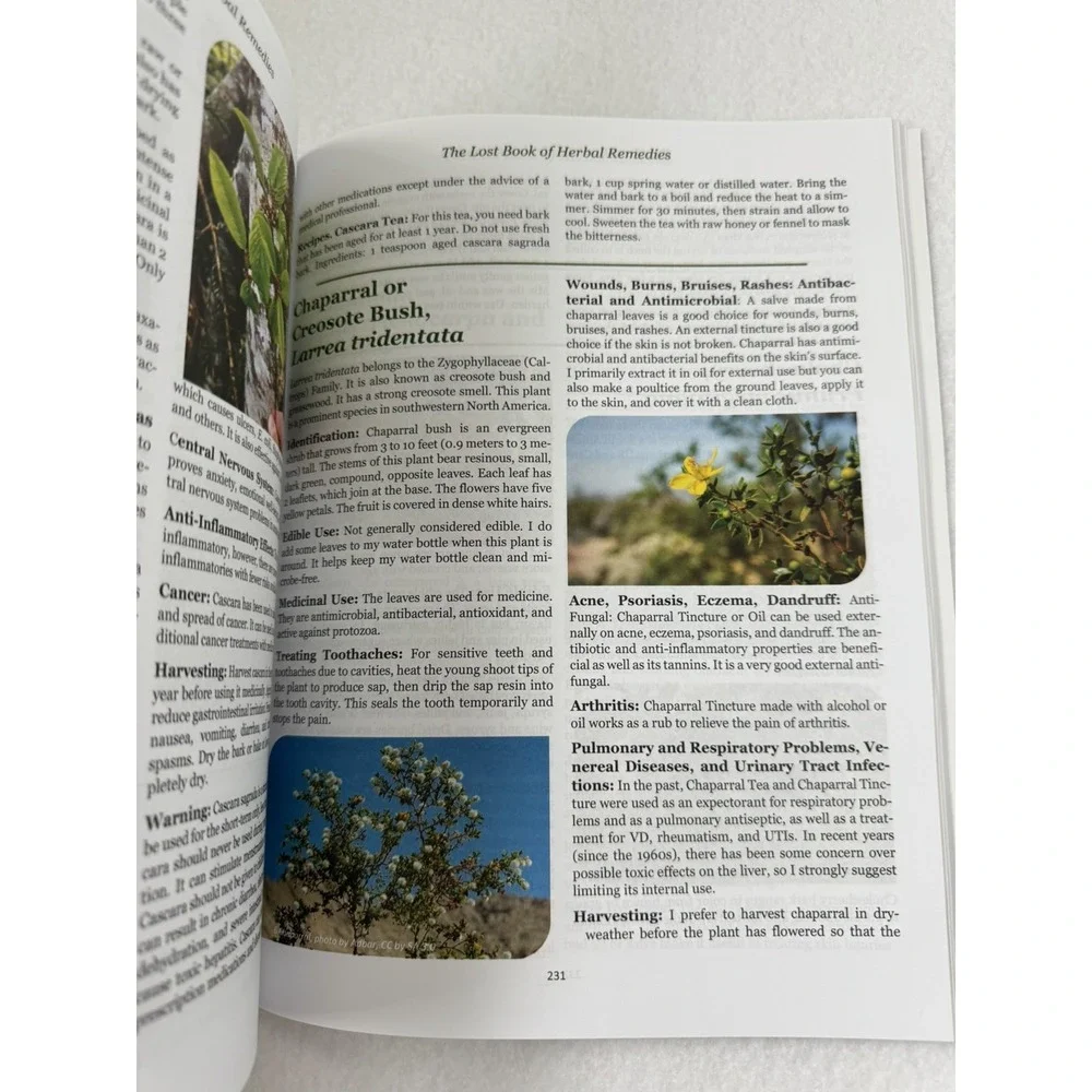 The Lost Book of Herbal Remedies Nicole Apelian Claude Davis Plant Medicine 2021